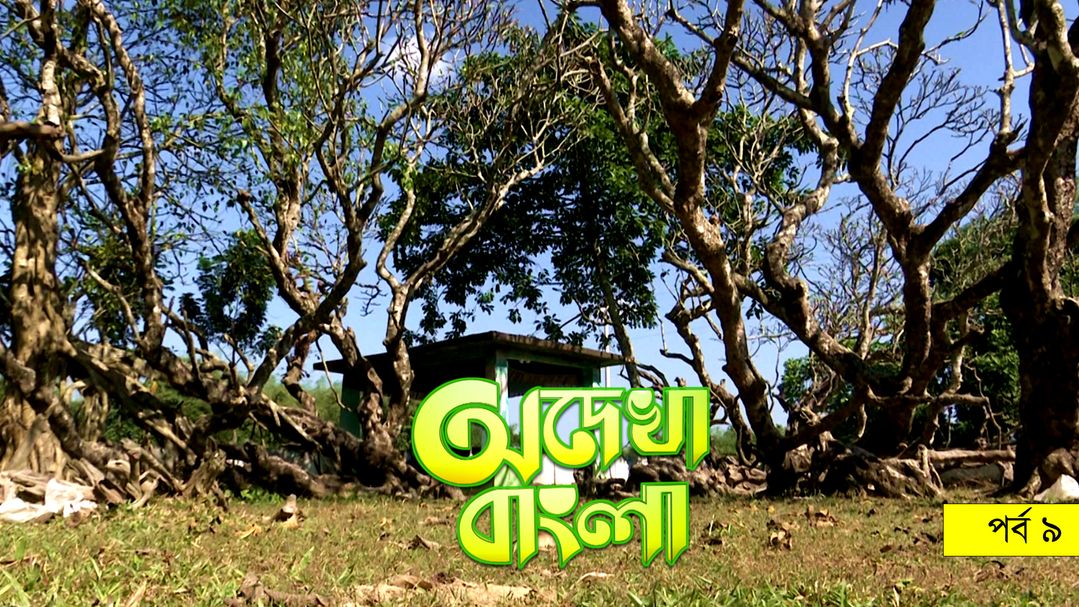 Odekha Bangla |  Episode-09